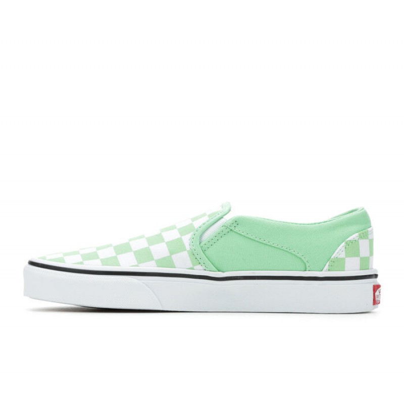 Women's Vans Asher Slip-On Skate Shoes